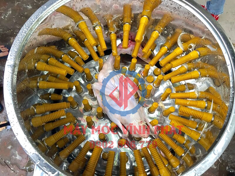 Núm cao su bên trong của máy vặt lông gà vịt Vĩnh Phát, máy làm lông gia cầm hiệu quả cao, giá rẻ nhất
